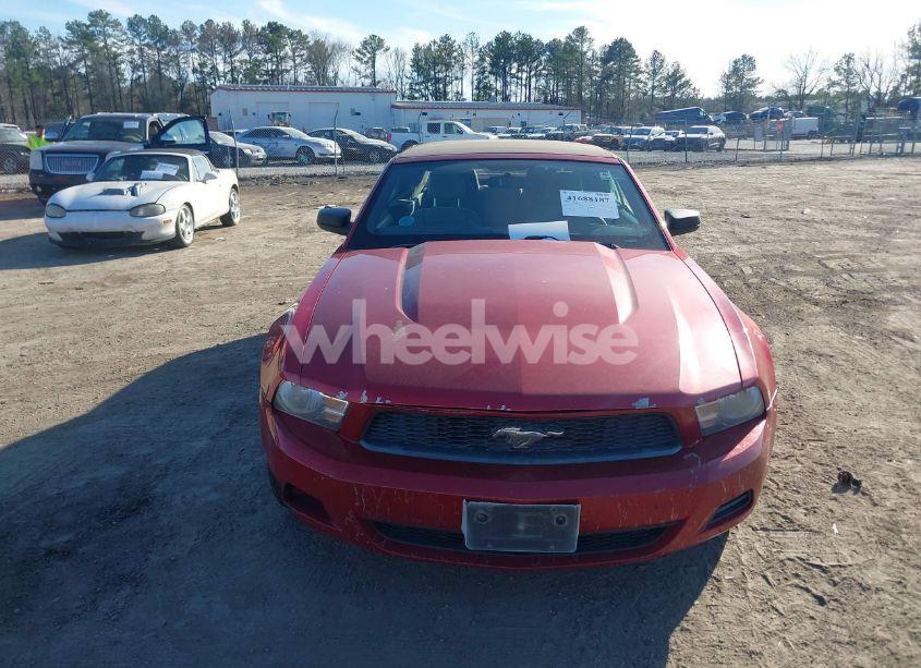 Photo 12 of 2012 Ford Mustang V6 (VIN 1ZVBP8EM4C5203508)