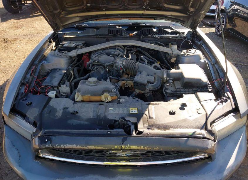 Photo 10 of 2013 Ford Mustang V6 (VIN 1ZVBP8EM4D5234419)