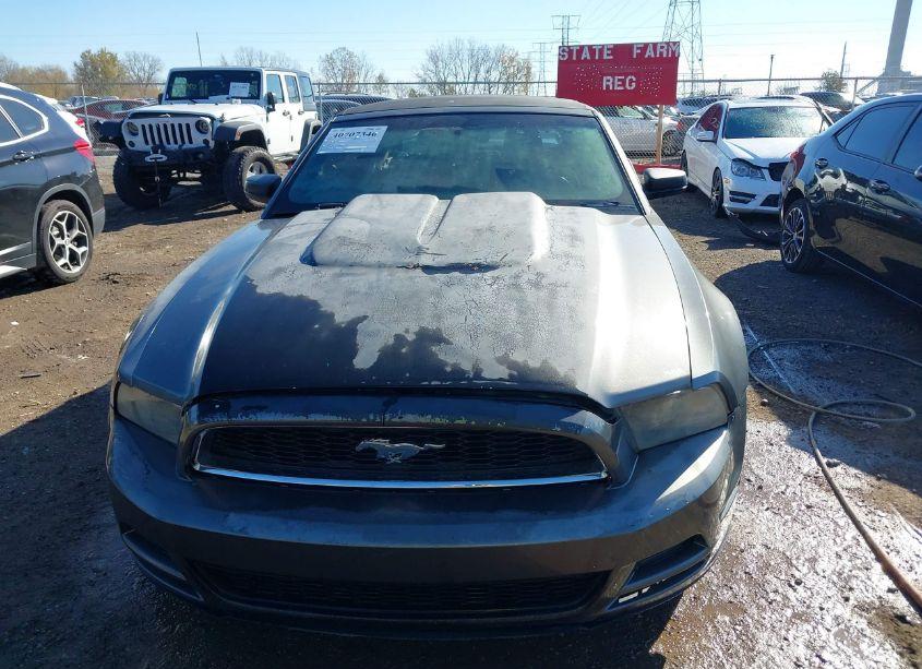 Photo 12 of 2013 Ford Mustang V6 (VIN 1ZVBP8EM4D5234419)
