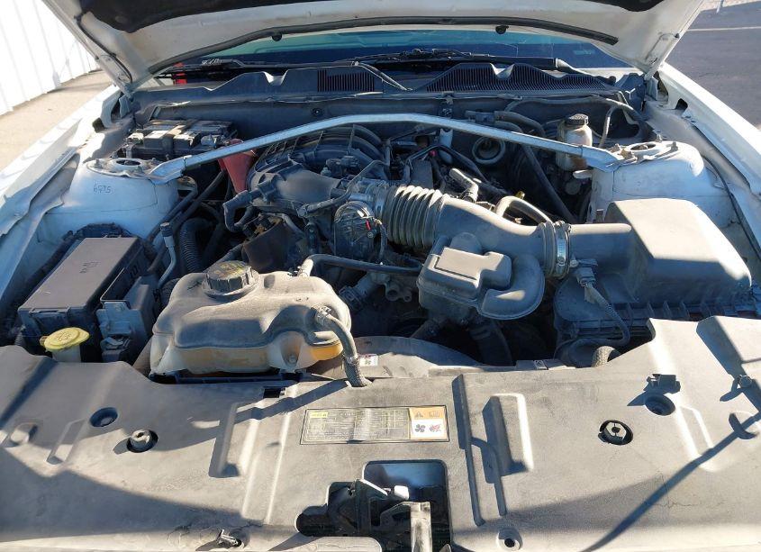 Photo 10 of 2013 Ford Mustang V6 (VIN 1ZVBP8EM4D5276122)