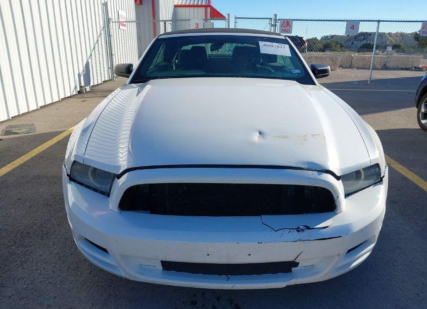 Photo 12 of 2013 Ford Mustang V6 (VIN 1ZVBP8EM4D5276122)