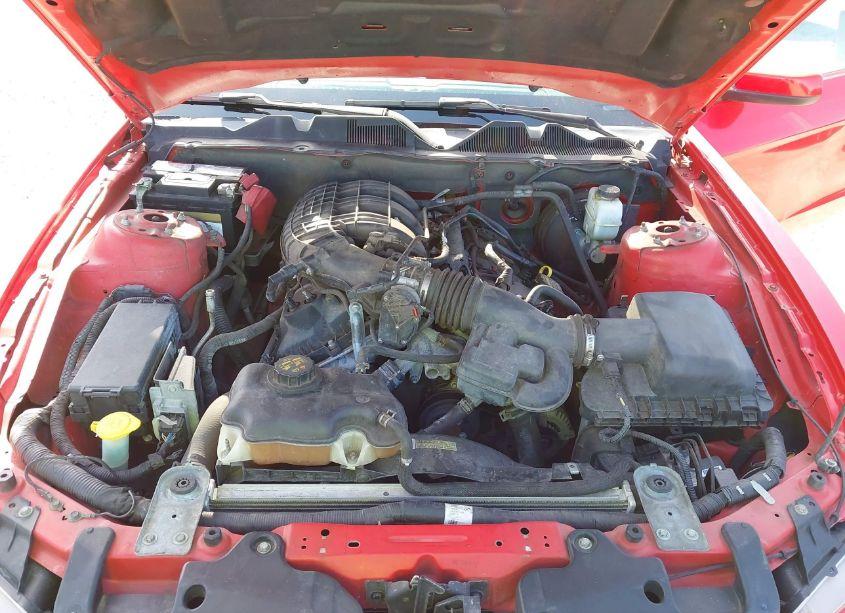 Photo 10 of 2014 Ford Mustang V6 PREMIUM (VIN 1ZVBP8EM4E5279135)