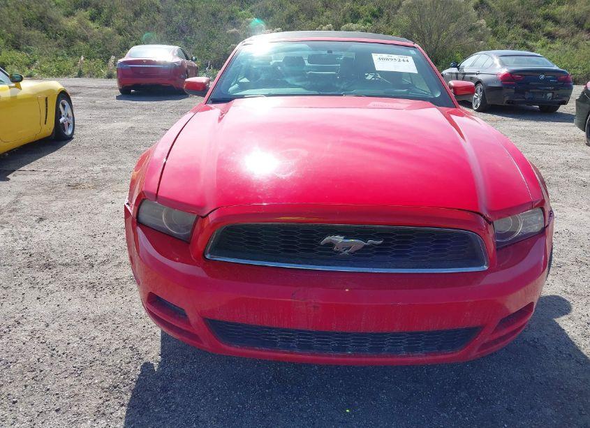 Photo 12 of 2014 Ford Mustang V6 PREMIUM (VIN 1ZVBP8EM4E5279135)