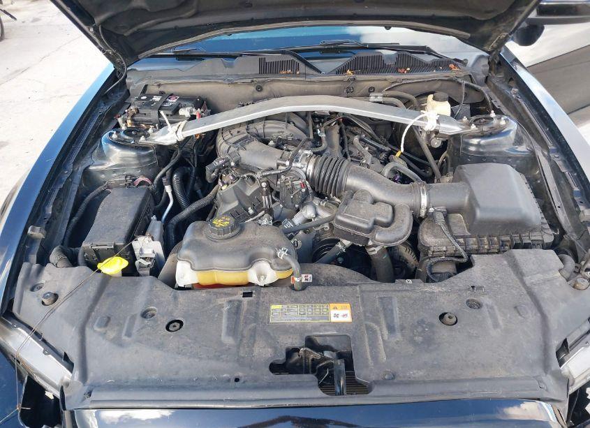 Photo 10 of 2014 Ford Mustang V6 PREMIUM (VIN 1ZVBP8EM4E5296954)