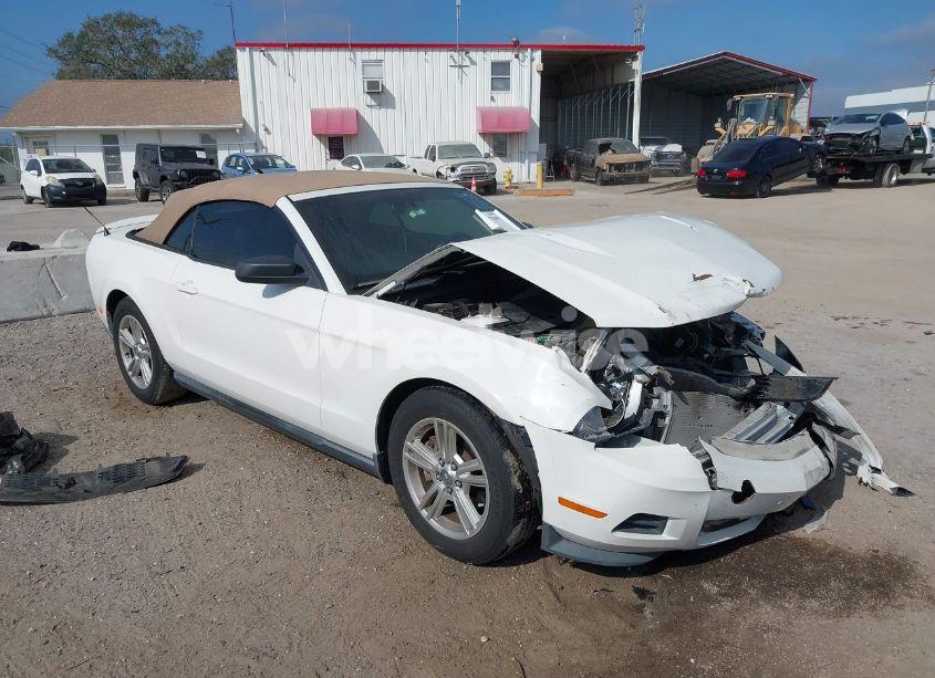 2011 Ford Mustang V6 (VIN 1ZVBP8EM5B5150509) main photo