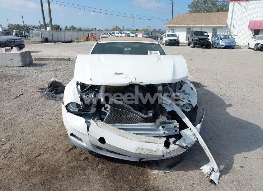 Photo 11 of 2011 Ford Mustang V6 (VIN 1ZVBP8EM5B5150509)