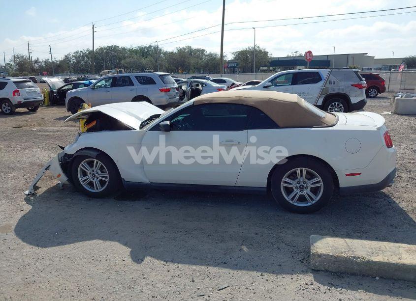 Photo 13 of 2011 Ford Mustang V6 (VIN 1ZVBP8EM5B5150509)