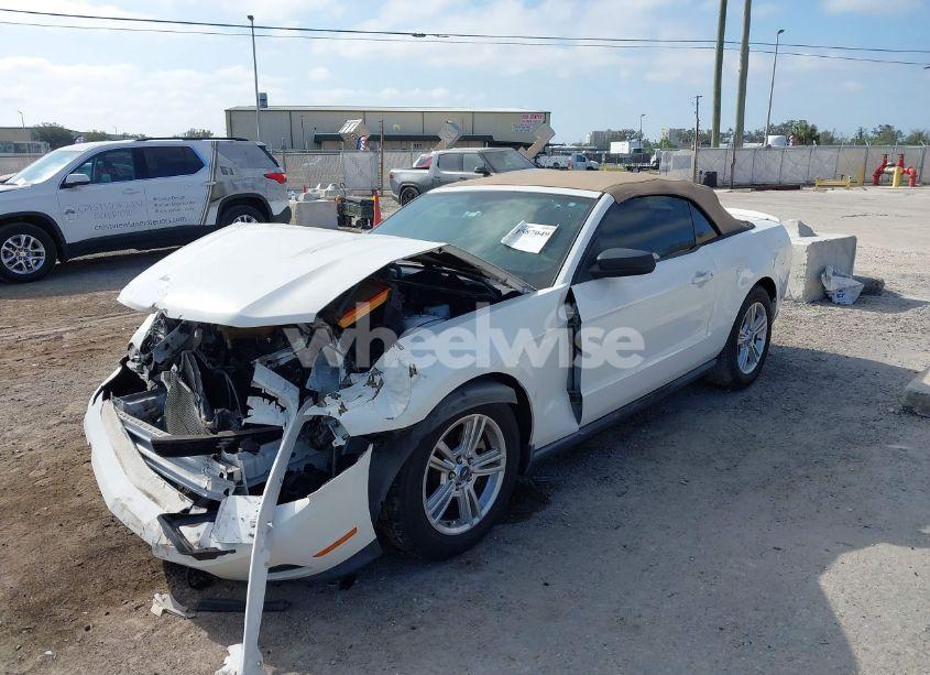 Photo 2 of 2011 Ford Mustang V6 (VIN 1ZVBP8EM5B5150509)