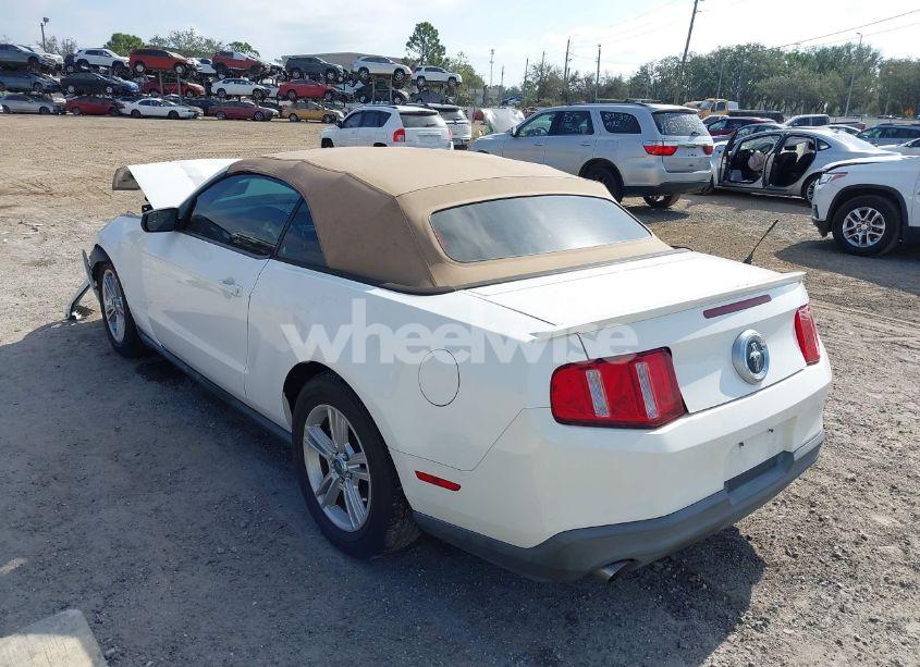 Photo 3 of 2011 Ford Mustang V6 (VIN 1ZVBP8EM5B5150509)