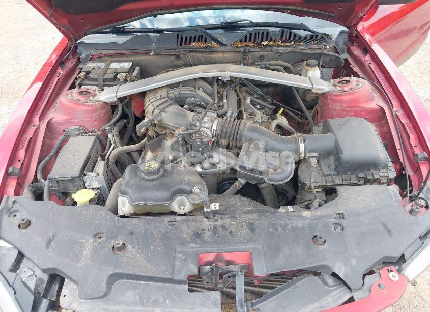 Photo 10 of 2012 Ford Mustang V6 PREMIUM (VIN 1ZVBP8EM5C5286673)