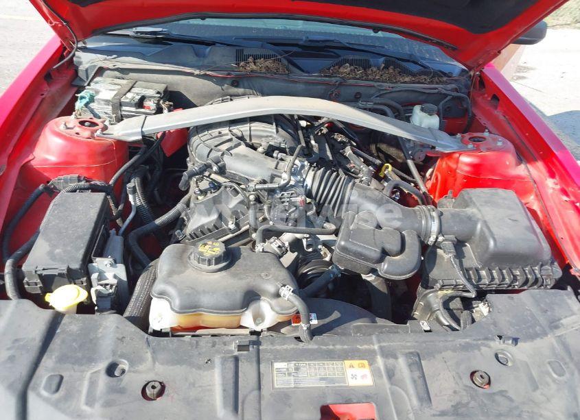 Photo 10 of 2014 Ford Mustang V6 (VIN 1ZVBP8EM5E5278947)