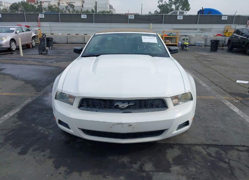 Photo 12 of 2011 Ford Mustang V6 PREMIUM (VIN 1ZVBP8EM6B5109001)