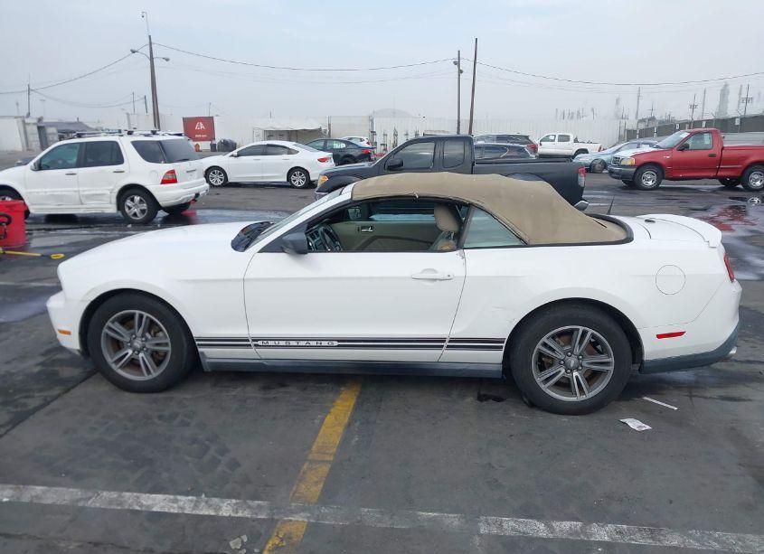 Photo 14 of 2011 Ford Mustang V6 PREMIUM (VIN 1ZVBP8EM6B5109001)
