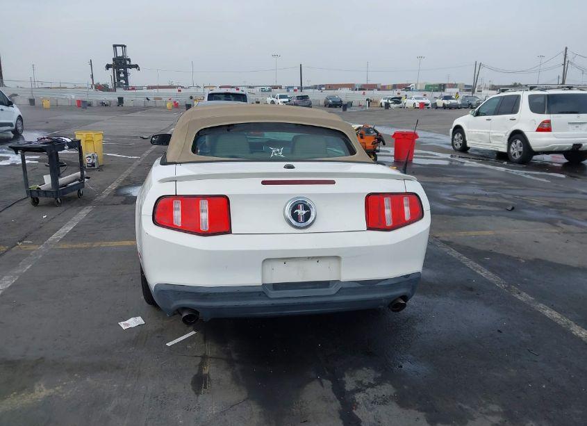 Photo 16 of 2011 Ford Mustang V6 PREMIUM (VIN 1ZVBP8EM6B5109001)