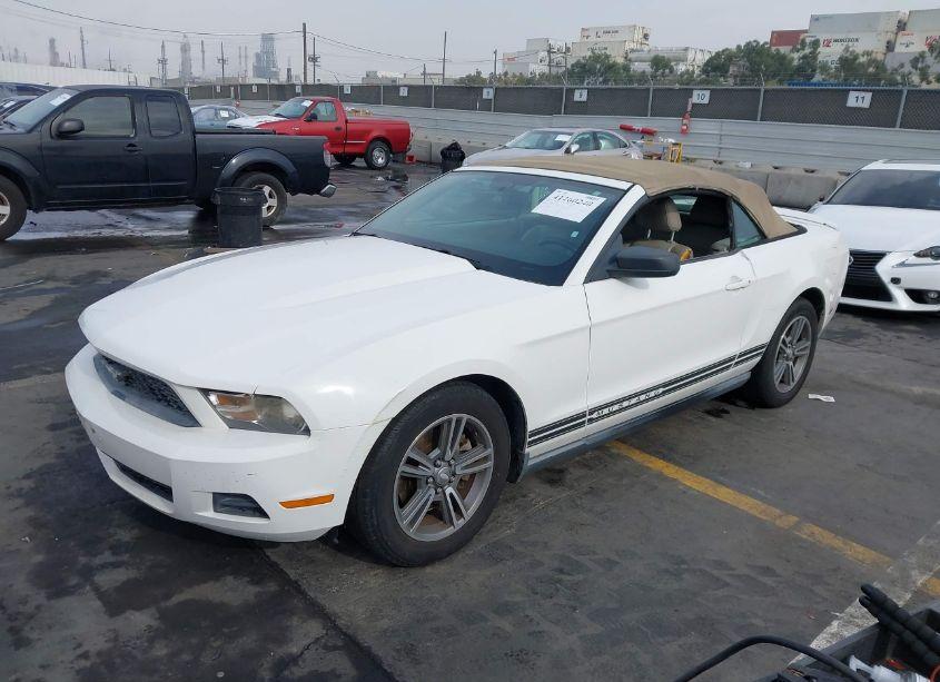 Photo 2 of 2011 Ford Mustang V6 PREMIUM (VIN 1ZVBP8EM6B5109001)