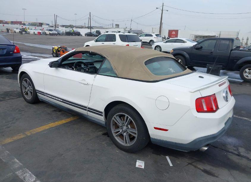 Photo 3 of 2011 Ford Mustang V6 PREMIUM (VIN 1ZVBP8EM6B5109001)