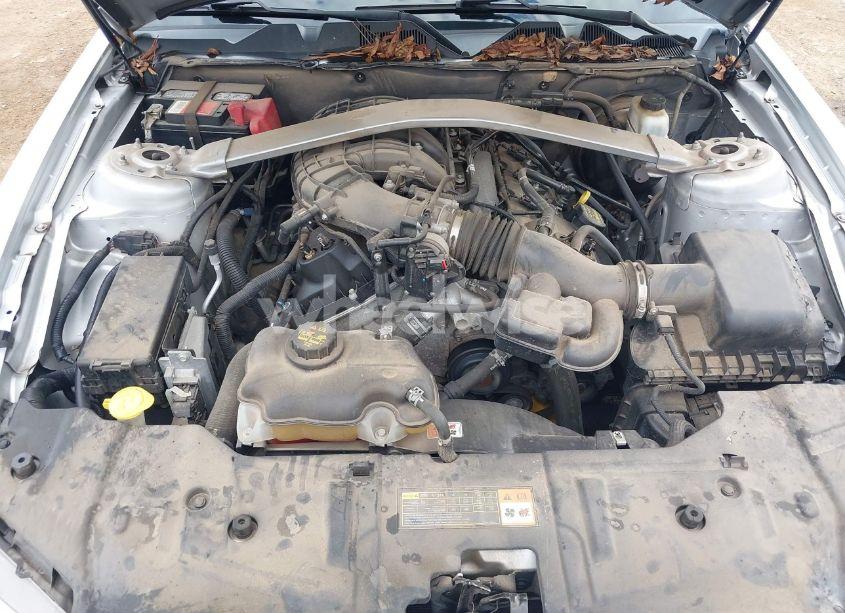 Photo 10 of 2013 Ford Mustang V6 PREMIUM (VIN 1ZVBP8EM6D5250153)