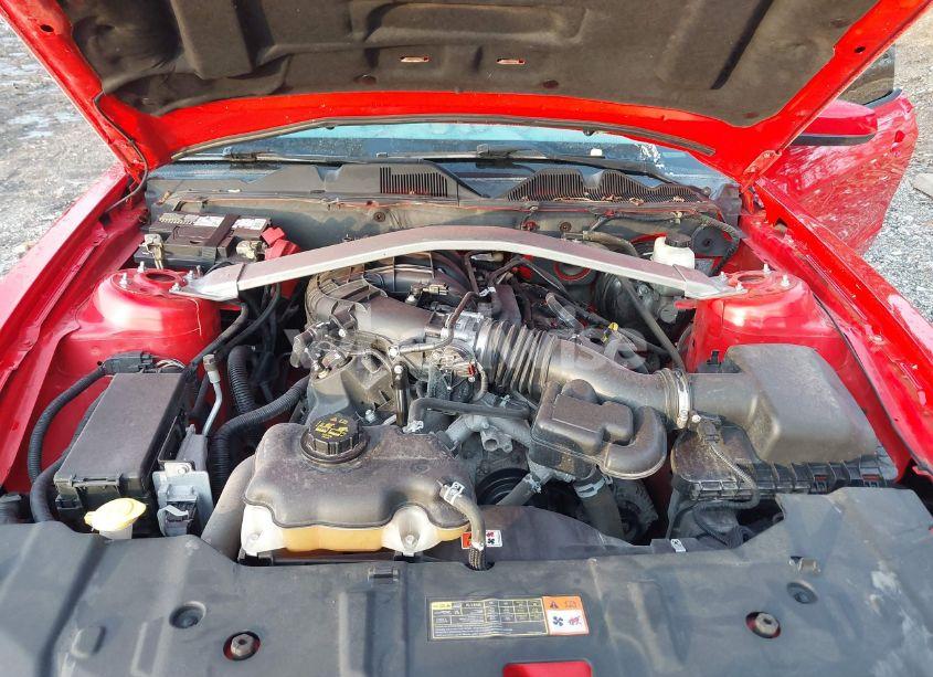 Photo 10 of 2014 Ford Mustang V6 PREMIUM (VIN 1ZVBP8EM6E5306738)