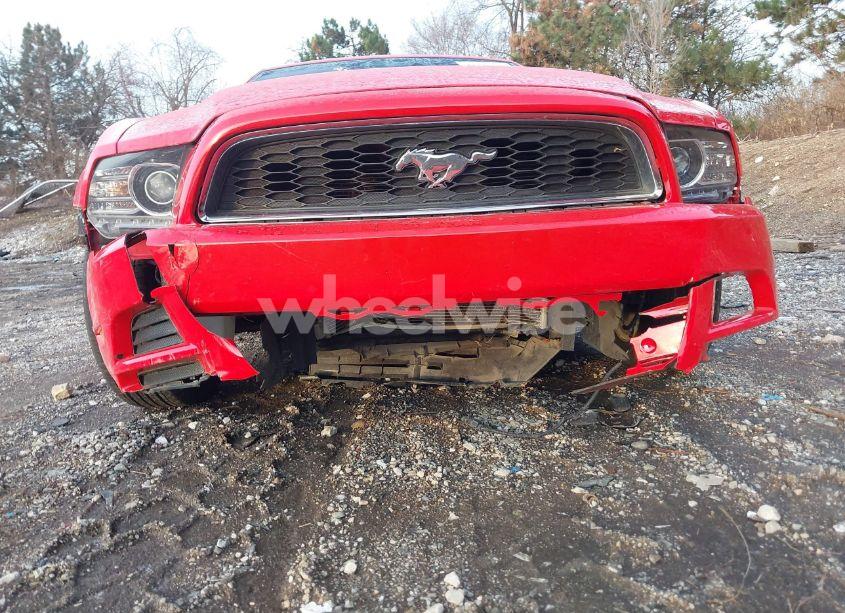 Photo 6 of 2014 Ford Mustang V6 PREMIUM (VIN 1ZVBP8EM6E5306738)