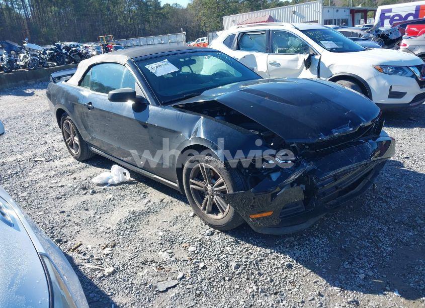 2011 Ford Mustang V6 (VIN 1ZVBP8EM7B5129385) main photo