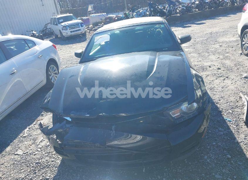 Photo 12 of 2011 Ford Mustang V6 (VIN 1ZVBP8EM7B5129385)