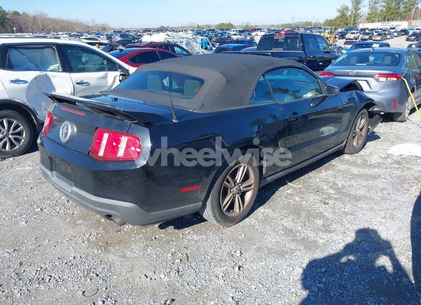 Photo 4 of 2011 Ford Mustang V6 (VIN 1ZVBP8EM7B5129385)