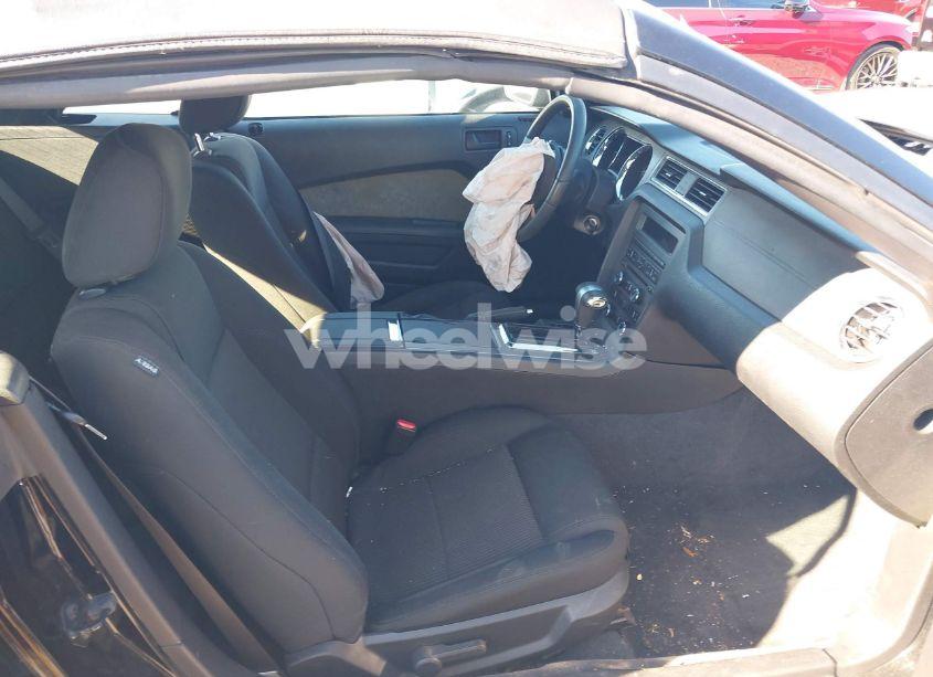 Photo 5 of 2011 Ford Mustang V6 (VIN 1ZVBP8EM7B5129385)