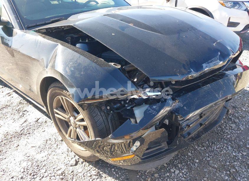 Photo 6 of 2011 Ford Mustang V6 (VIN 1ZVBP8EM7B5129385)