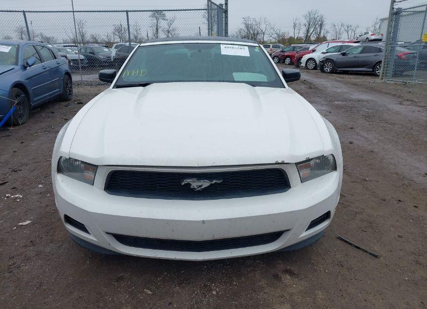 Photo 12 of 2012 Ford Mustang V6 (VIN 1ZVBP8EM7C5276453)