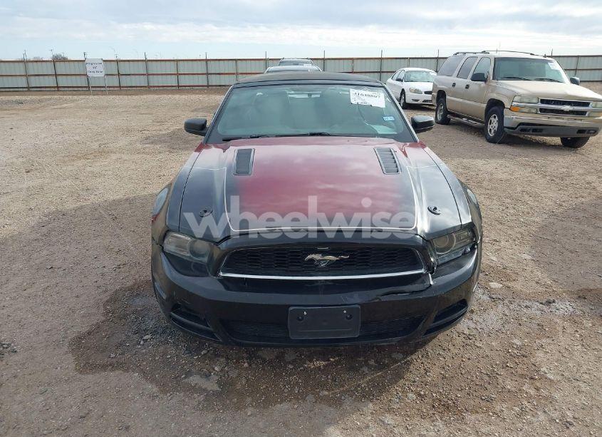 Photo 12 of 2013 Ford Mustang V6 (VIN 1ZVBP8EM7D5234088)