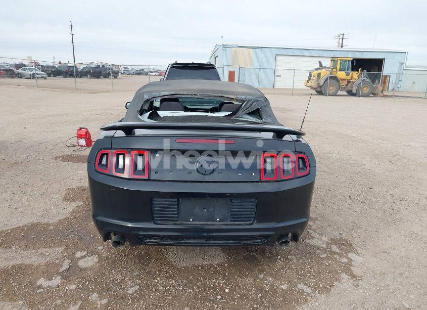 Photo 16 of 2013 Ford Mustang V6 (VIN 1ZVBP8EM7D5234088)