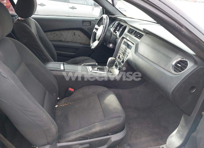 Photo 5 of 2013 Ford Mustang V6 (VIN 1ZVBP8EM7D5234088)