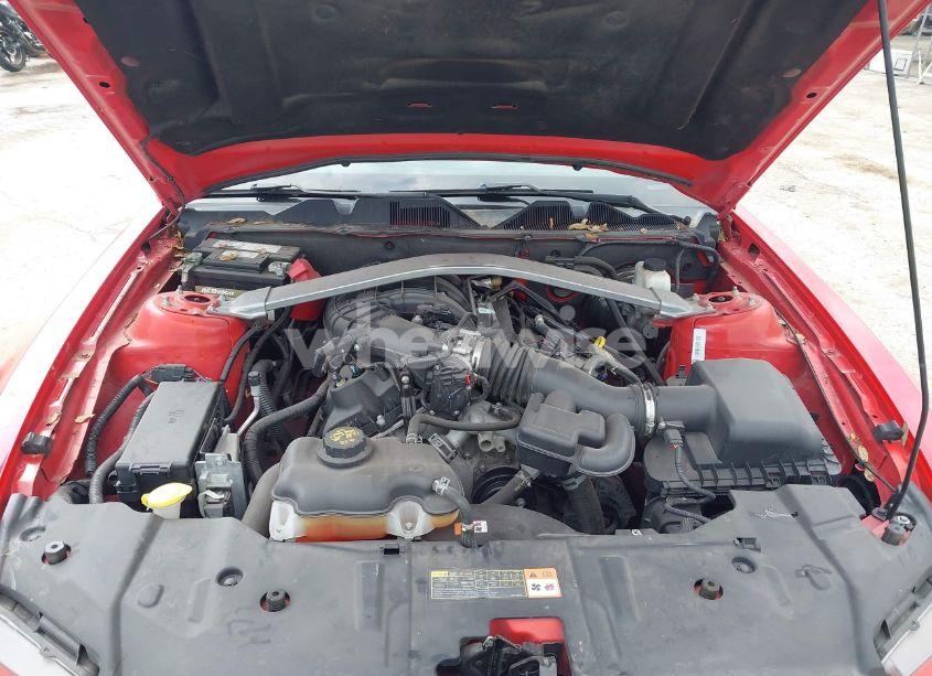 Photo 10 of 2013 Ford Mustang V6 (VIN 1ZVBP8EM7D5239369)