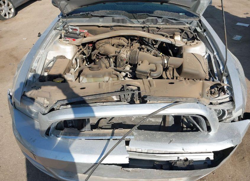 Photo 10 of 2014 Ford Mustang V6 (VIN 1ZVBP8EM7E5215672)