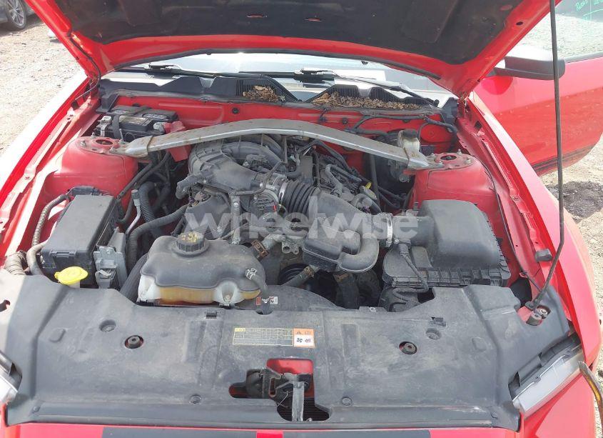 Photo 10 of 2014 Ford Mustang V6 (VIN 1ZVBP8EM7E5275774)