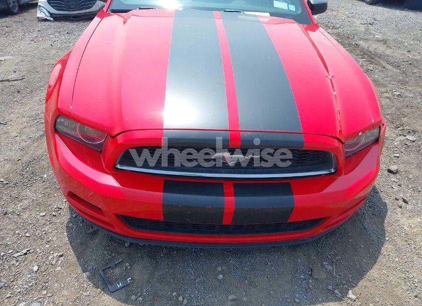 Photo 12 of 2014 Ford Mustang V6 (VIN 1ZVBP8EM7E5275774)