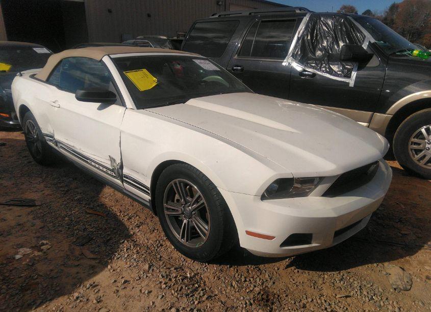 2011 Ford Mustang V6 PREMIUM (VIN 1ZVBP8EM8B5119870) main photo
