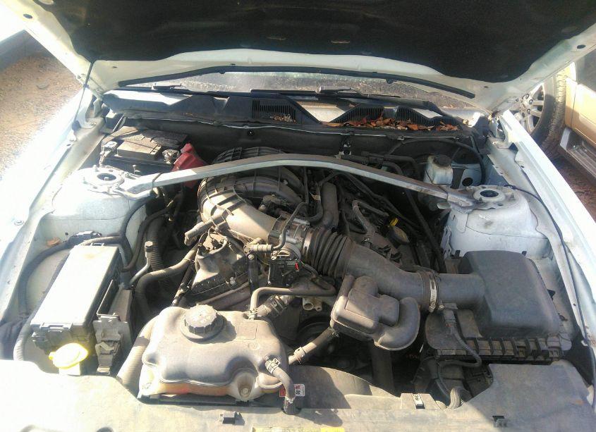 Photo 10 of 2011 Ford Mustang V6 PREMIUM (VIN 1ZVBP8EM8B5119870)