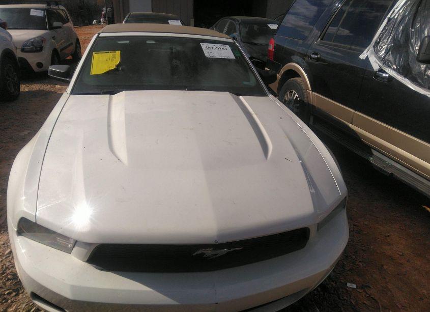 Photo 12 of 2011 Ford Mustang V6 PREMIUM (VIN 1ZVBP8EM8B5119870)