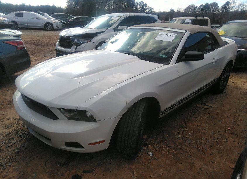 Photo 2 of 2011 Ford Mustang V6 PREMIUM (VIN 1ZVBP8EM8B5119870)