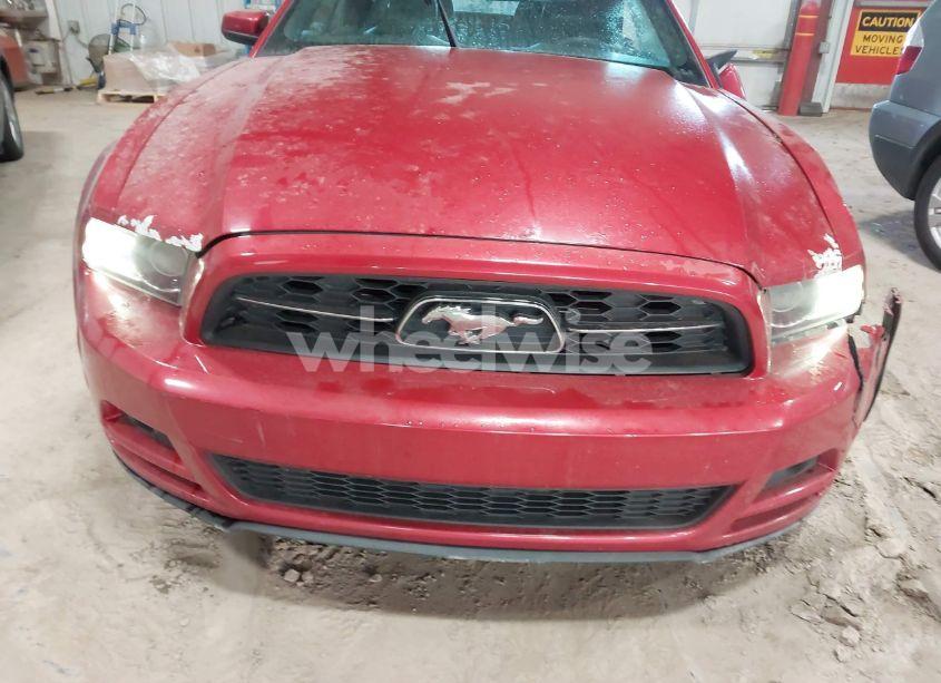 Photo 12 of 2013 Ford Mustang V6 PREMIUM (VIN 1ZVBP8EM8D5200645)