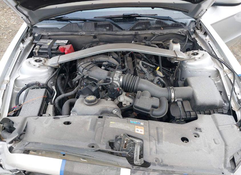 Photo 10 of 2013 Ford Mustang V6 PREMIUM (VIN 1ZVBP8EM8D5203299)