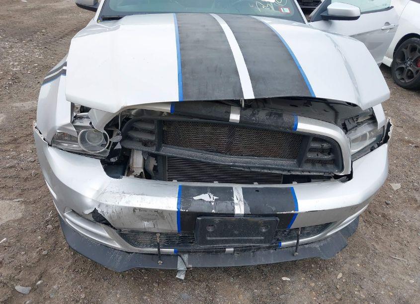 Photo 6 of 2013 Ford Mustang V6 PREMIUM (VIN 1ZVBP8EM8D5203299)