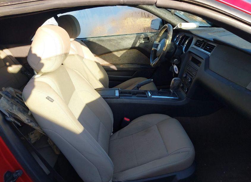 Photo 5 of 2013 Ford Mustang V6 (VIN 1ZVBP8EM8D5275927)