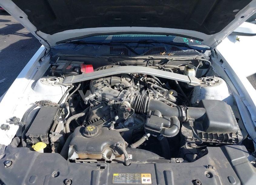 Photo 10 of 2014 Ford Mustang V6 PREMIUM (VIN 1ZVBP8EM8E5228964)