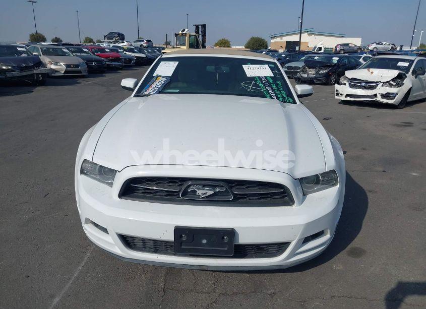 Photo 12 of 2014 Ford Mustang V6 PREMIUM (VIN 1ZVBP8EM8E5228964)