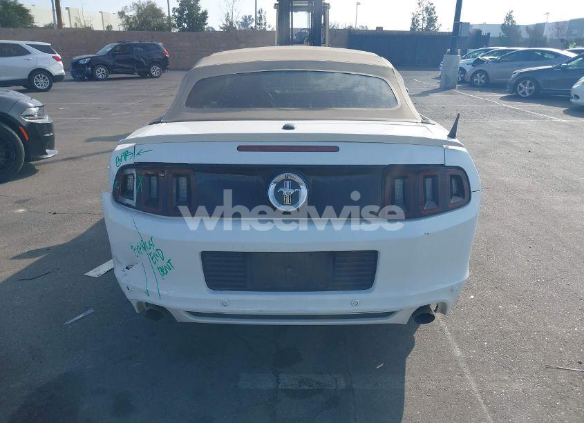 Photo 16 of 2014 Ford Mustang V6 PREMIUM (VIN 1ZVBP8EM8E5228964)