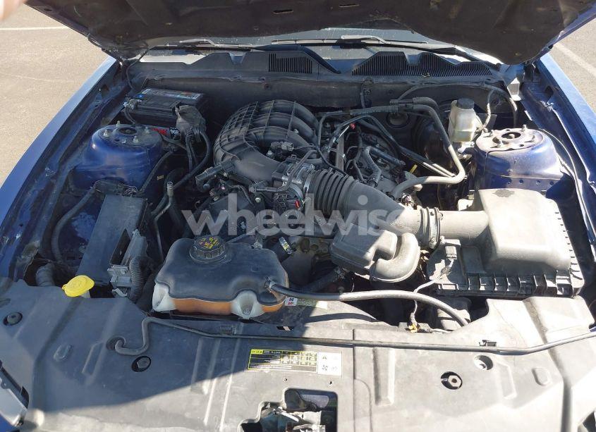 Photo 10 of 2014 Ford Mustang V6 (VIN 1ZVBP8EM8E5238393)