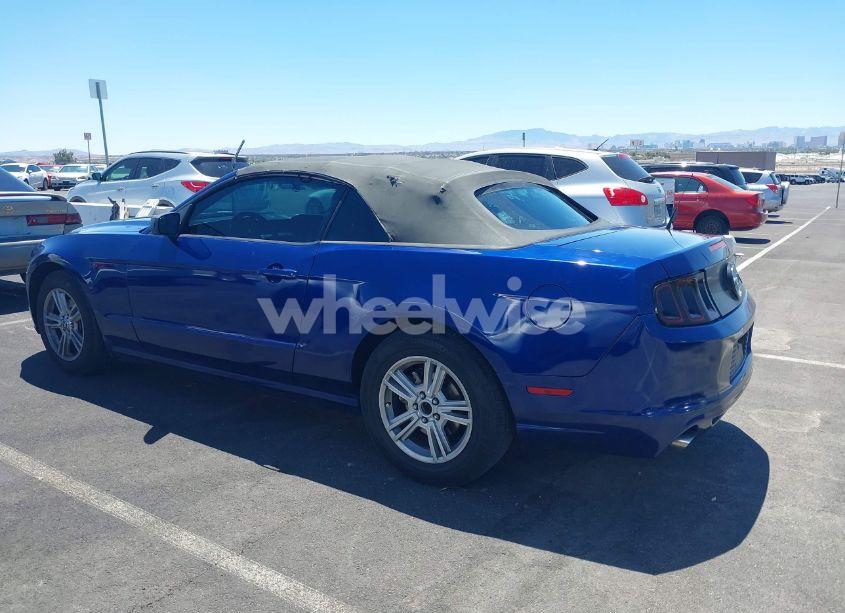 Photo 14 of 2014 Ford Mustang V6 (VIN 1ZVBP8EM8E5238393)