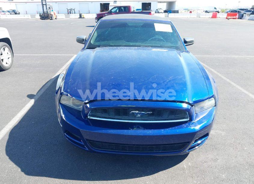Photo 6 of 2014 Ford Mustang V6 (VIN 1ZVBP8EM8E5238393)